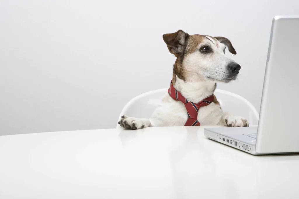 Il 26 Giugno è la Giornata Mondiale del cane in ufficio!
